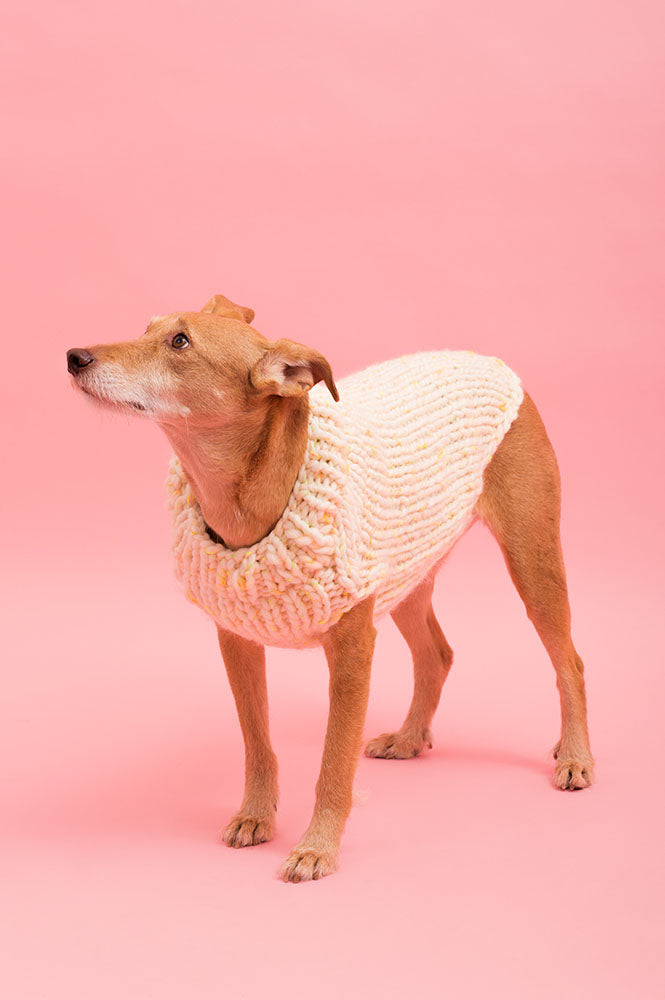 MAGLIONCINO forDog