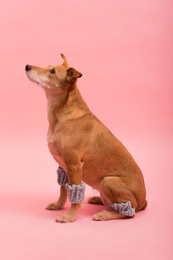 SCALDAMUSCOLI forDOG