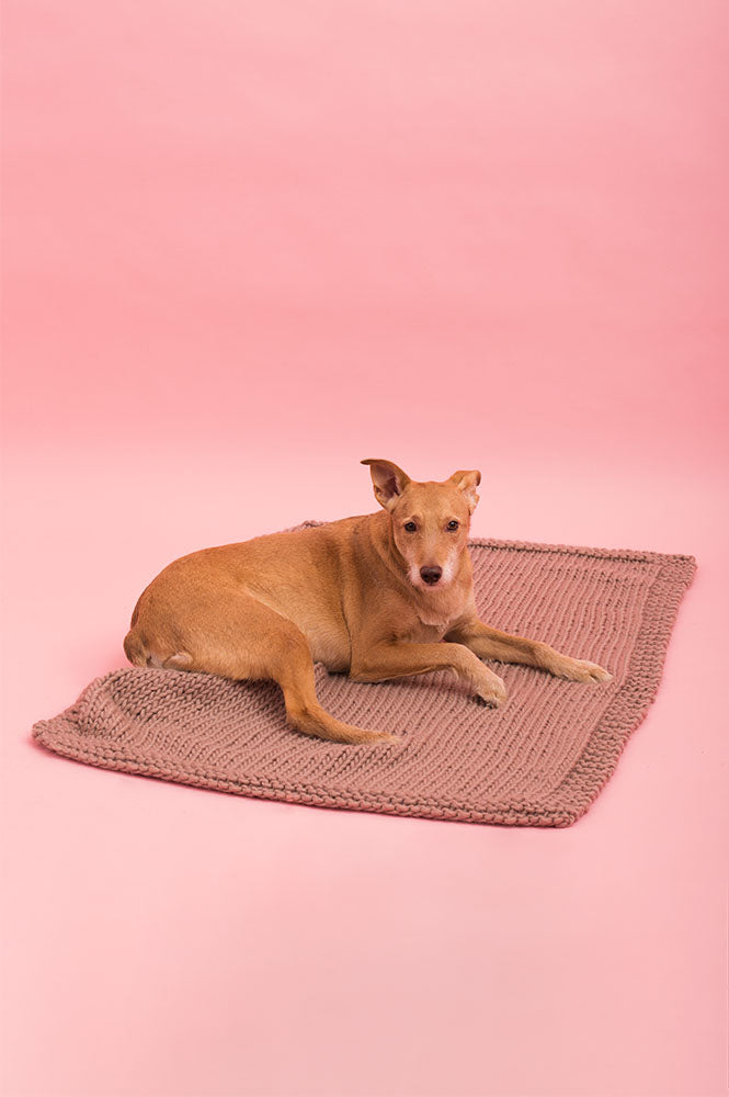 COPERTINA Petfriendly – SALE