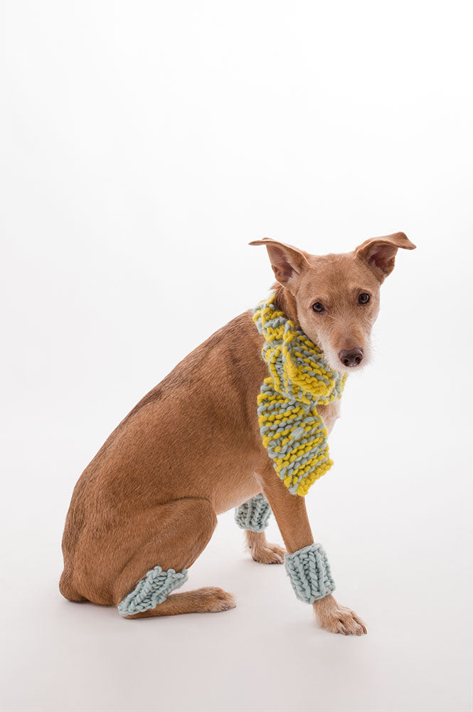 SCALDAMUSCOLI forDOG