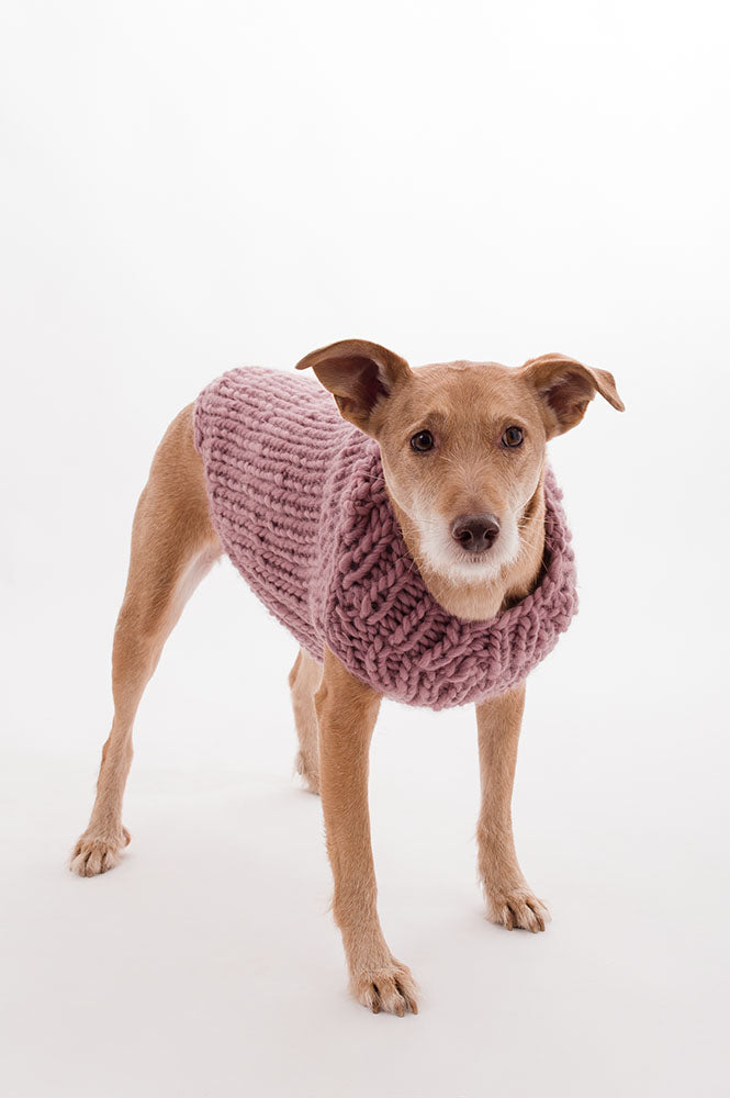 MAGLIONCINO fordog – SAMPLE SALE