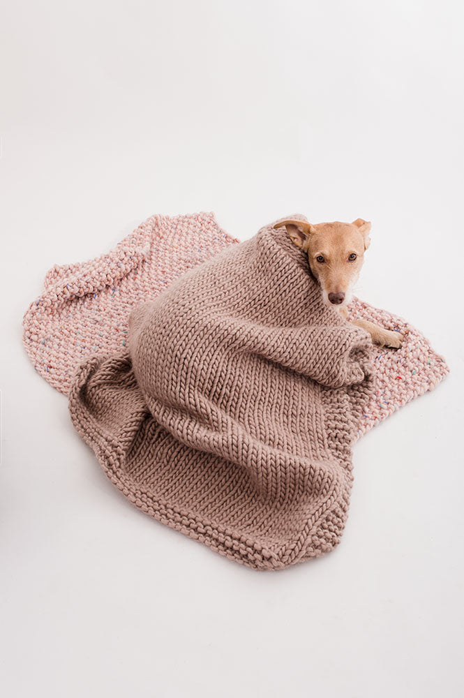 COPERTINA Petfriendly – SALE