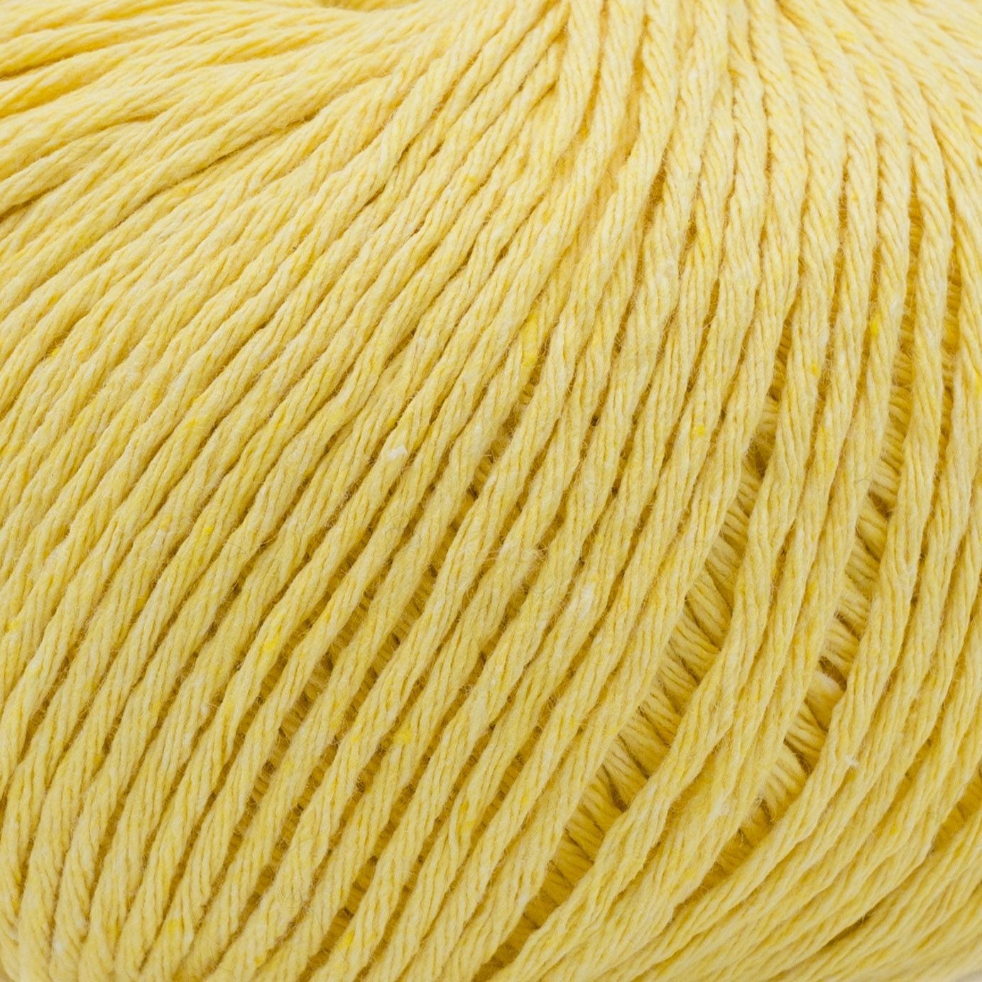 ECOTONE