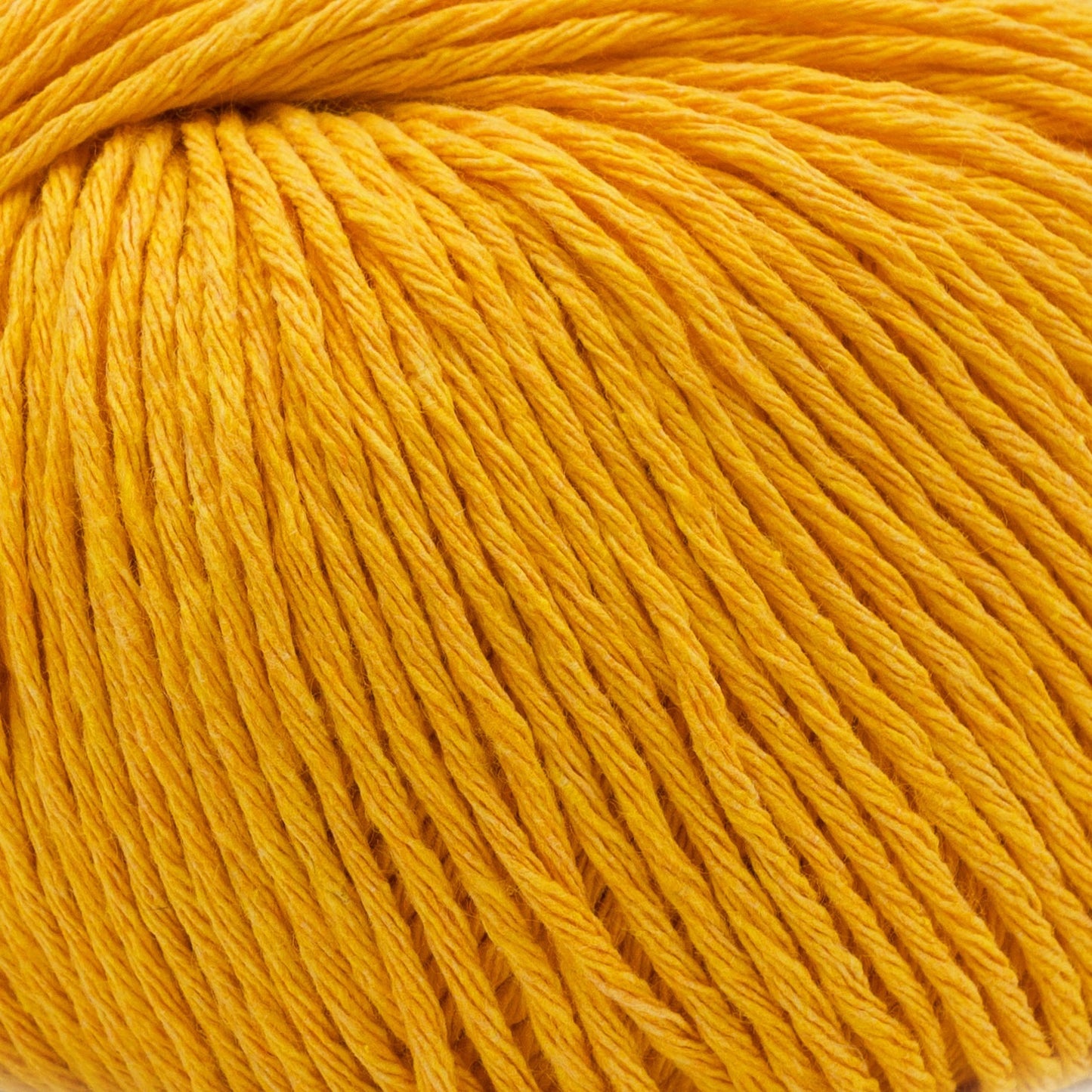 ECOTONE