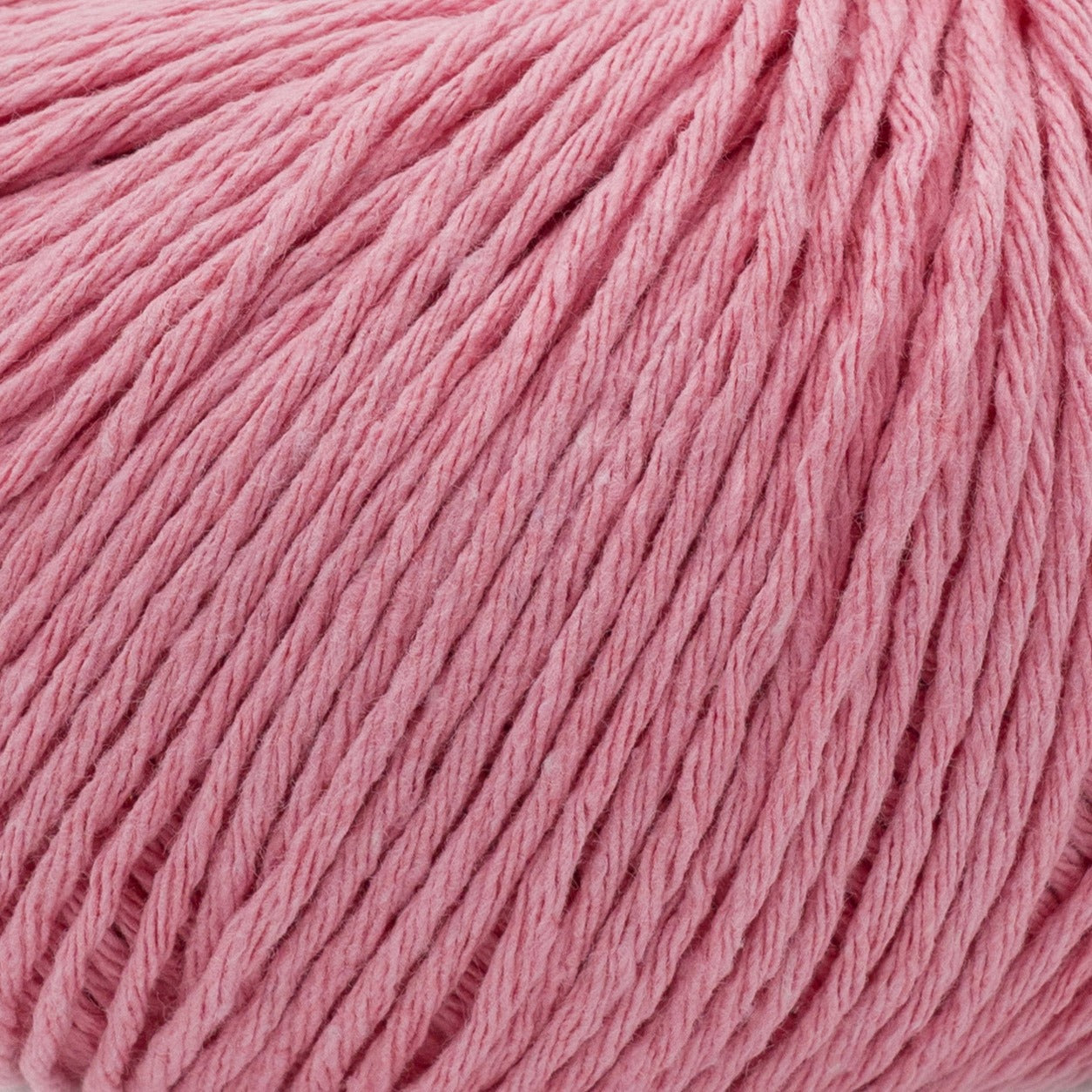 ECOTONE