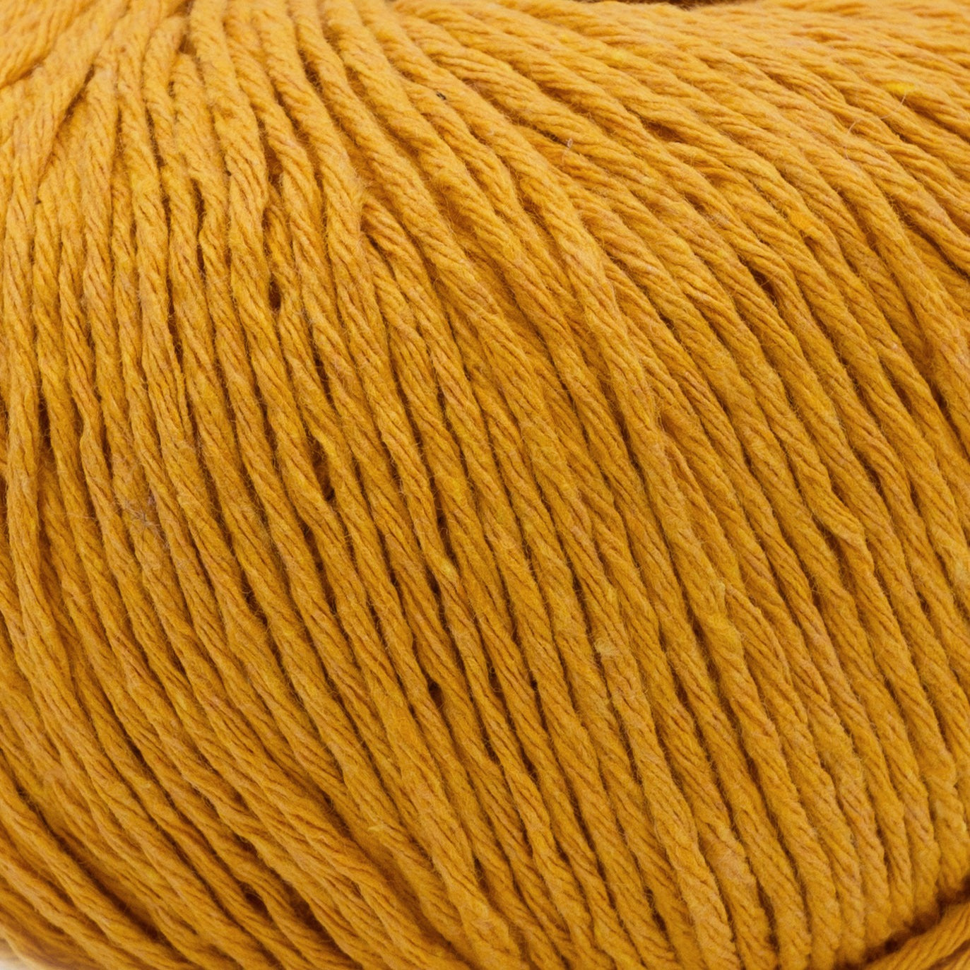 ECOTONE